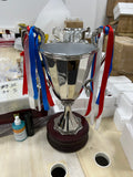UEFA Cup Winners' Cup Trophy(Indicate what ribbon you want)